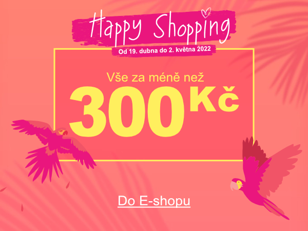 Nákupy do 300 Kč jsou u Vás oblíbené. Najděte své srdcovky.