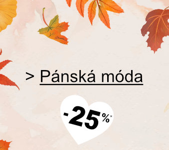 Pánská móda